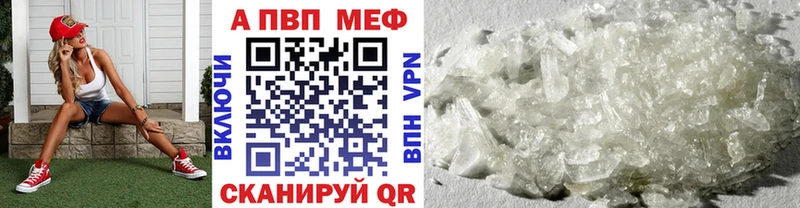 Alfa_PVP СК Холм