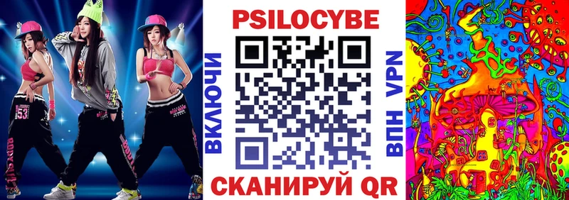 как найти наркотики Холм Галлюциногенные грибы мицелий
